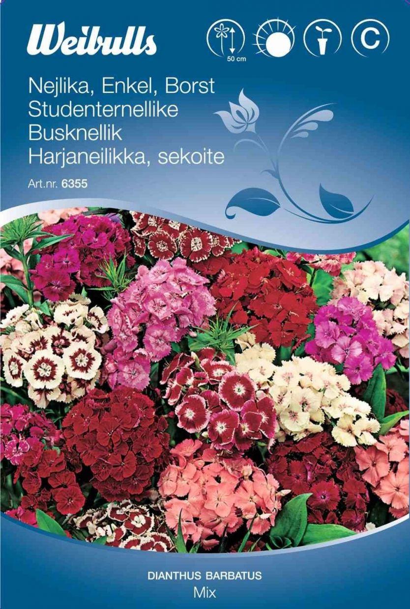 Blomsterfrø (Studenternellike 'Mix')