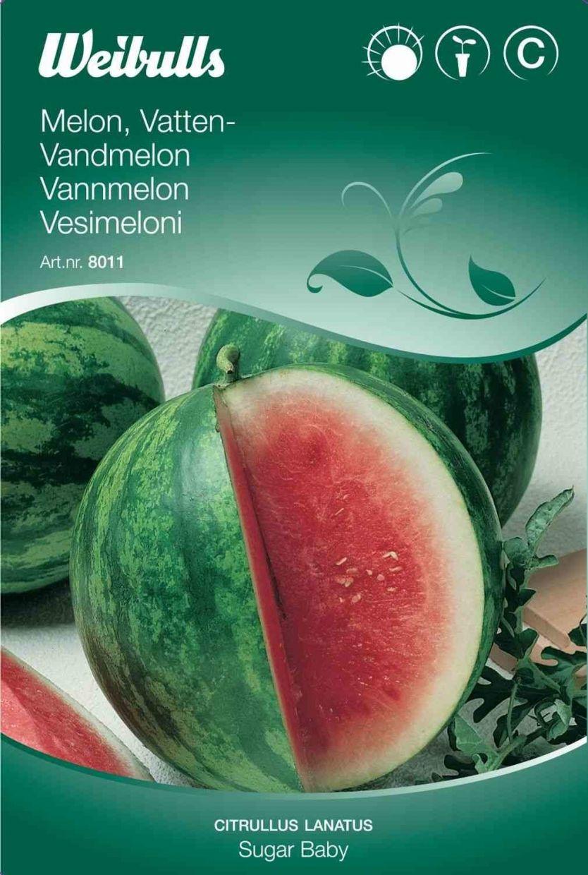 Melonfrø (Vandmelon 'Sugar baby')