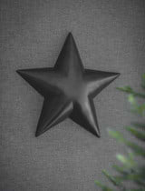 Wall Star - Large