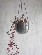 Farringdon Hanging Plant Pot - 15cm