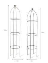 Barrington Obelisk Plant Support - Set of 2