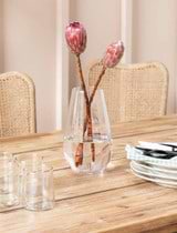 Marshfield Rounded Vase - Clear - Tall