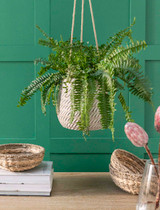 Bramdean Hanging Plant Pot