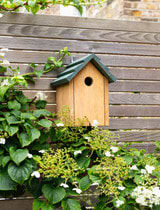 Littleworth Pitched Roof Bird House | Olive Green |Pine Wood