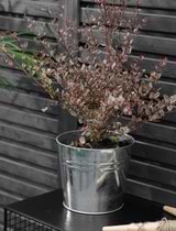 Winson Plant Pot - Large - Silver