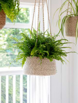 Hanging Plant Pot Tapered 25cm Natural