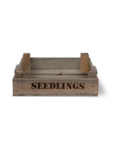 Seedlings Tray