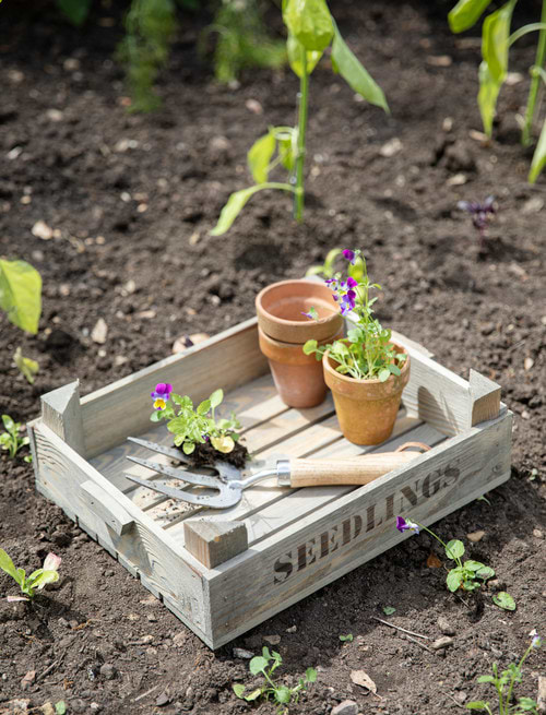 Aldsworth Wooden Seedlings Tray Natural