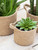 Set of 3 Woven Plant Pots