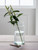Broadwell Glass Vase - Tall