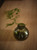 Wye Round Bud Vase Green