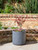 Holbeton Round Planter - Grey - 50cm
