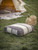 Beccles Stripe Floor Cushion - Large