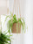 Woven Hanging Plant Pot - Tall