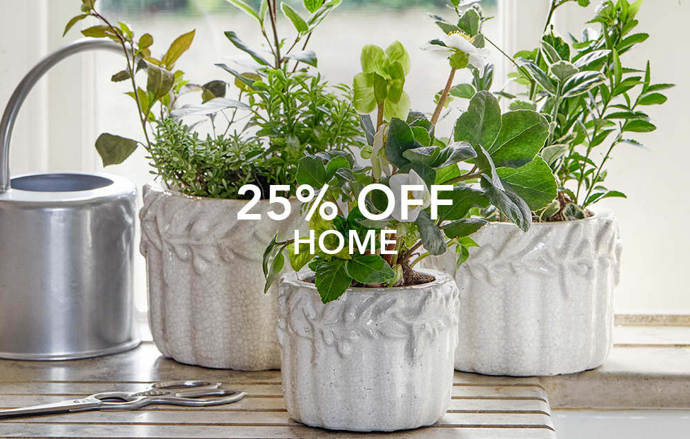 Shop Home at Garden Trading
