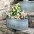 Vence Oval Trough 52.5cm