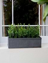 Vence Window Box 60cm
