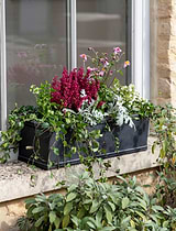 Vence Window Box 60cm