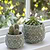 Artichoke Pot 15cm Aqua