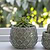 Artichoke Pot 20cm Aqua