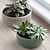 Castello Bowl 16cm Foliage Green