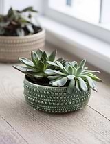 Castello Bowl 16cm Foliage Green