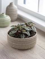 Castello Bowl 20cm Stone