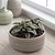 Castello Bowl 20cm Stone