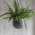 Farringdon Hanging Plant Pot 20cm Antique Pewter