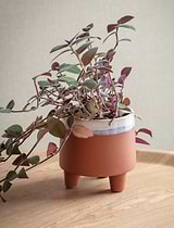 Halston Pot, 13.5cm - Ceramic