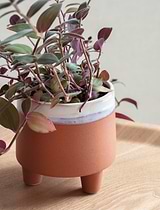 Halston Pot, 13.5cm - Ceramic