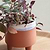 Halston Pot, 13.5cm - Ceramic