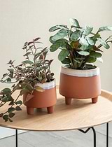 Halston Pot, 13.5cm - Ceramic