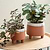 Halston Pot, 13.5cm - Ceramic