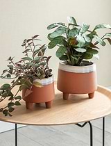Halston Pot, 16cm - Ceramic