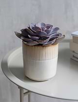 Hillesley Pot 11cm Ivory
