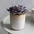 Hillesley Pot 11cm Ivory