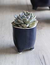 Positano Pot 7.2cm Ink