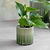 Nettleton Pot 10.2cm Green