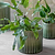 Nettleton Pot 15.5cm Green