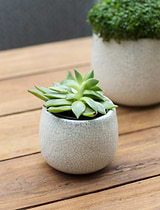 Ravello Pot 11.5cm White