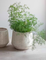 Ravello Ridged Pot 25cm White