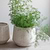 Ravello Ridged Pot 25cm White