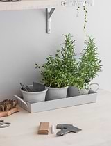 Classic Plant Pots with Tray Set of 3 Chalk