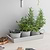 Classic Plant Pots with Tray Set of 3 Chalk