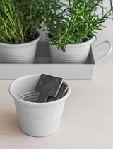 Classic Plant Pots with Tray Set of 3 Chalk