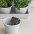 Classic Plant Pots with Tray Set of 3 Chalk