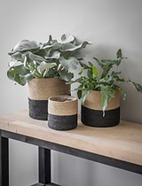 Jute Striped Pots Set of 3 Black & Natural