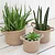 Jute Woven Plant Pots Set of 3 Natural