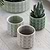 Sorrento Pot 7cm Foliage Green